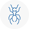 Ant Removals In Isle Of Walney