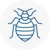 Bed Bug Extermination In Isle Of Walney