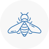 Bee Nest Removal Isle Of Walney