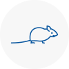 Mice Exterminators In Isle Of Walney