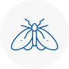 Moth Control Specialists In Isle Of Walney
